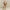 Damen bequemer Oversized-Pullover und lässige Palazzohose Set WW