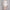 Damen Strickjacke mit geometrischem Muster WW