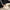 Damen Flauschige Hausschuhe mit bequemer Polsterung und weichem Obermaterial W&W
