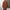 Damen Strickjacke mit V-Ausschnitt und praktischen Taschen WW