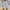 Damen sportliche Shorts mit elastischem Bund und seitlichen Taschen WW