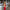 Damen Langarm Maxikleid mit elegantem und figurbetontem Design W&W