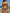 Damen Bandeau-Bikini mit verstellbaren Trägern und animalischem Muster WW