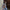 Damen elegante Floral-Jacke im Oversized-Schnitt mit strukturierten Details WW
