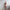 WW | Party Slim Fit Arm Bedeckendes Kleid