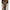 WW | Weste Damen Aus Weichem Stoff