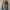 WW Entspannt Und Stylisch Allgemeiner Pullover