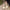 Damen Ballerinas mit dekorativem Riemchen und goldener Applikation W&W