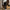 Damen Bequeme weit geschnittene Hose aus hochwertigen Materialien WW