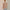 Damen Strickpullover mit verspieltem Obstdesign WW
