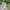 Damen Strickkleid mit feiner Lochmusterung und eleganten Knopfdetails WW