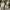 Damen Kurzarm-Basic-T-Shirt mit Knopfdetail und Knotenverschluss WW