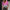 WW | Gradient-Druck Bunt V-Ausschnitt T-Shirt