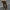 Damen weite Cordhose WW