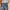 Damen Baggy-Jeans im Vintage-Style WW