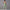 Damen Sportliches Bustier- und High-Waist-Leggings-Set mit nahtloser Konstruktion und atmungsaktiver Technologie WW