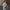 Damen Bequemer Sportanzug mit weitem Schnitt und modischen Details WW