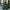 WW | Geteiltes langes Party-Hostess-Abendkleid
