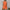 Damen lässiges Sommer-Outfit in hochwertigem Material mit ärmellosem Top und Shorts WW
