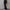 Damen Bootcut-Hose mit hohem Bund und elastischem Taillenband WW