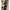 Damen Strickjacke mit Punktmuster WW