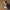 Damen Ballerina Flats mit spitzem Zehenbereich und dekorativem Strassschnalle WW