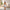 Damen Bandeau-Kleid mit floralen Applikationen und gerafft Schnitt WW