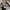 Damen Strickjacke mit klassischem Schnitt und stilvollen Knopfdetails WW
