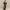 Damen bequemer Oversized-Pullover und lässige Palazzohose Set WW