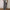 Damen Weite Hochtaillierte Stoffhose mit elegantem Gummibund WW