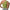 Damen Asymmetrisches Crop-Top mit Rüschendetails WW