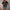 Damen gestreiftes T-Shirt mit modischen Knopfdetails und Rundhalsausschnitt WW