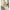 Damen Bequeme Pumps mit stilvollem Schnallen-Detail W&W