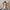 Damen Ballerinas mit elegantem Schleifen-Detail und hochwertigem Leder W&W