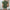 Damen Bluse mit voluminösen Rüschenärmel und eleganter V-Ausschnitt WW