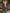 Damen Strickjacke mit elegantem Rippenmuster und praktischen Taschen WW