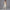 Damen Sportliches Bustier- und High-Waist-Leggings-Set mit nahtloser Konstruktion und atmungsaktiver Technologie WW
