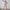 Damen Bequeme High-Waist Pants mit Taillengürtel WW