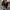 Damen lässige Strickjacke mit eleganter Knopfleiste und weitem Schnitt WW