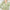 Damen Strickjacke mit floralen Applikationen und strukturiertem Design WW