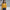Damen Strickjacke mit V-Ausschnitt und Knopfdetails WW
