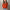 Einfacher und stilvoller Winterpullover