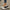 Damen Elegante Ballerinas mit funkelndem Strass-Detail und komfortabler Sohle W&W