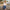 Damen Bequeme Leinen-Shorts mit elastischem Bund und Taschen WW