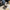 Damen stilvolle Clogs mit hohem Plateau und rutschfester Sohle W&W