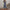 Damen Oversized Jumpsuit mit Puffärmeln und elastischem Taillenbund WW