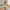 Damen Bandeau-Kleid mit floralen Applikationen und gerafft Schnitt WW
