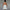 WW | Mini Cocktailkleid Schulterfreies Abendkleid Mit Schleifendetail