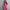 Damen Sportliches Freizeit-Set mit cropped Jacke und weiter Hose WW