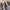 Damen elegante Slingback-Pantoletten mit Ketten-Detail W&W